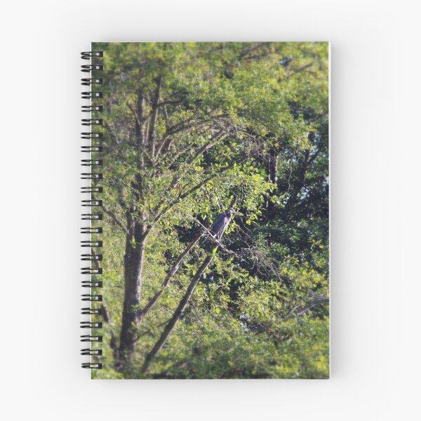 Item preview, Great Blue Heron in the trees by Trojan pond, near Goble, Oregon designed and sold by Dawna Morton.