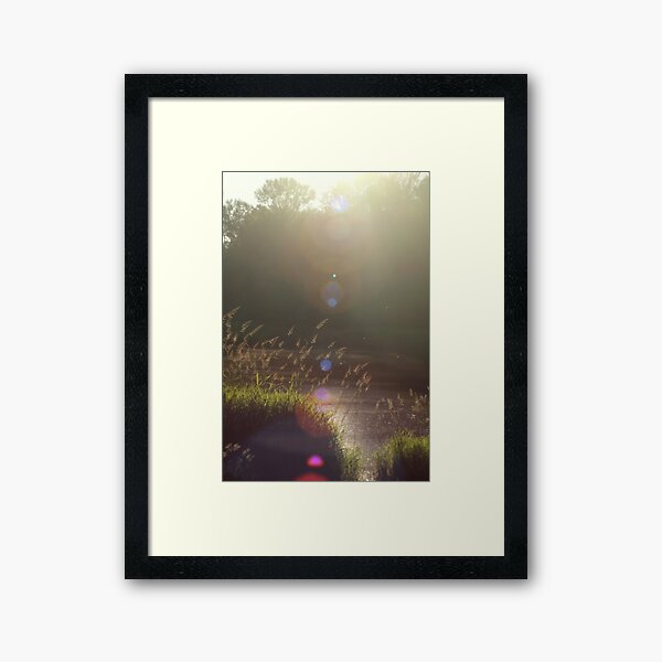 view across Trojan pond, near Goble, Oregon with lens flair Framed Art Print