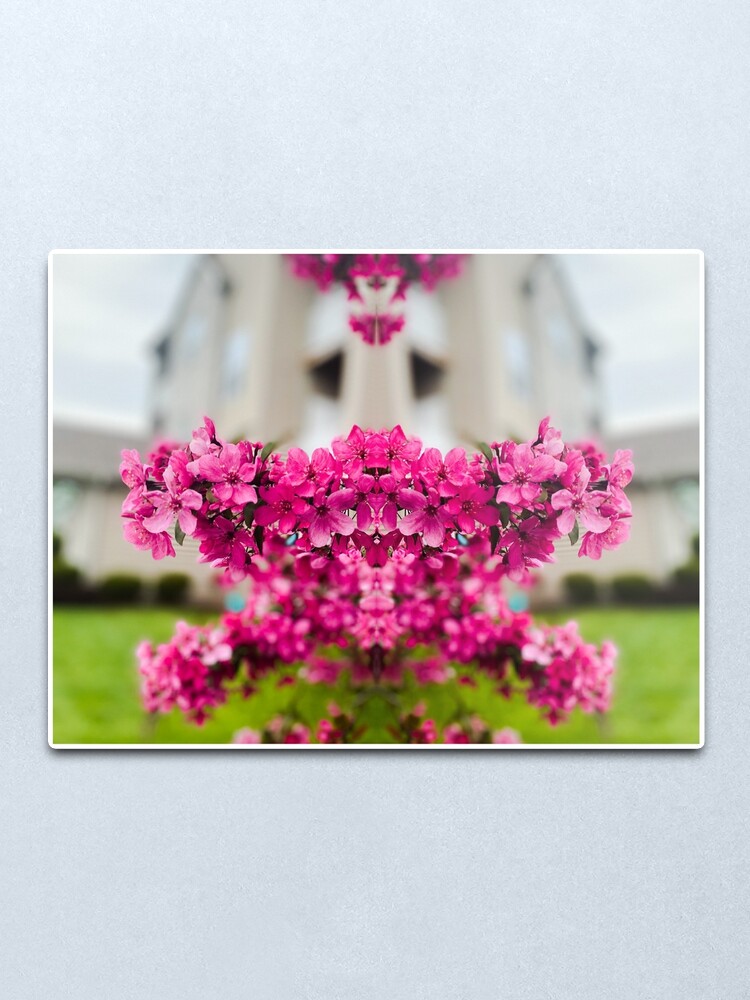 Alternate view of Symmetry of Pink Flowers Metal Print