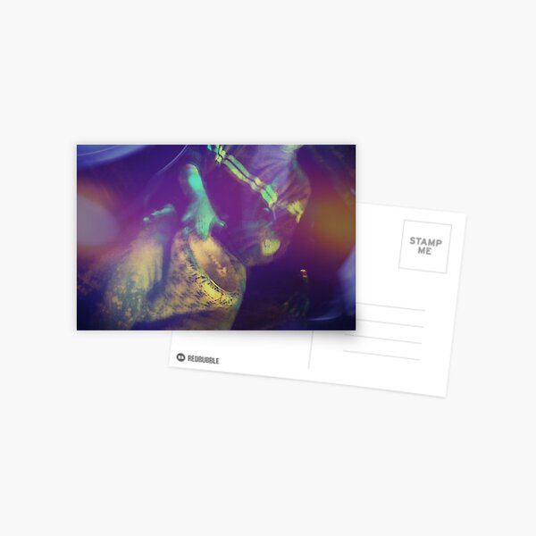 Beat on My Bongo Postcard