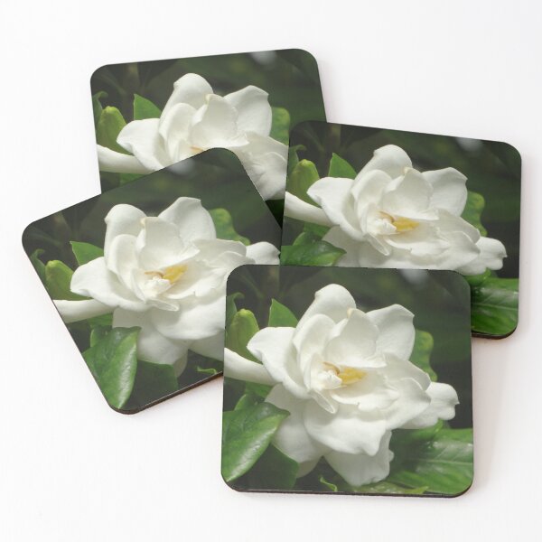 Item preview, Gardenia designed and sold by lmocimages.