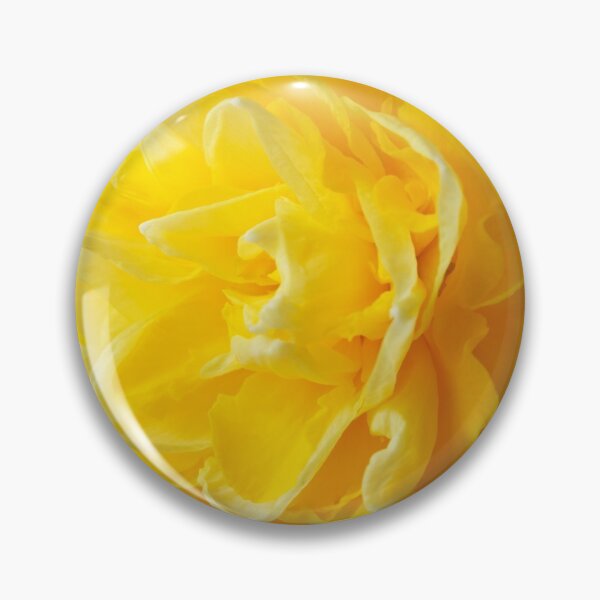 Item preview, Narcissus  'Dick Wilden'  Daffodil  Div.  4 Double   designed and sold by Chris Burrows.