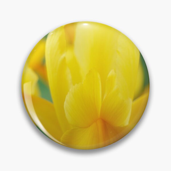 Item preview, Iris  'Royal Yellow'  Dutch iris   designed and sold by Chris Burrows.