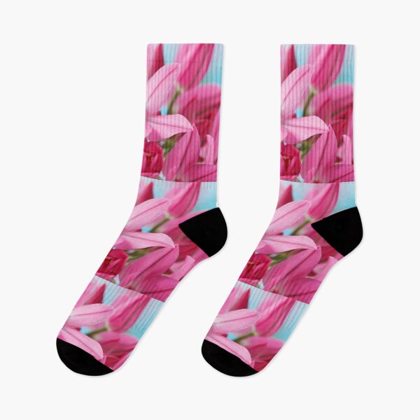 Item preview, Allium oreophilum  Mountain lover  Pink lily leek  allium ostrowskianum   designed and sold by Chris Burrows.