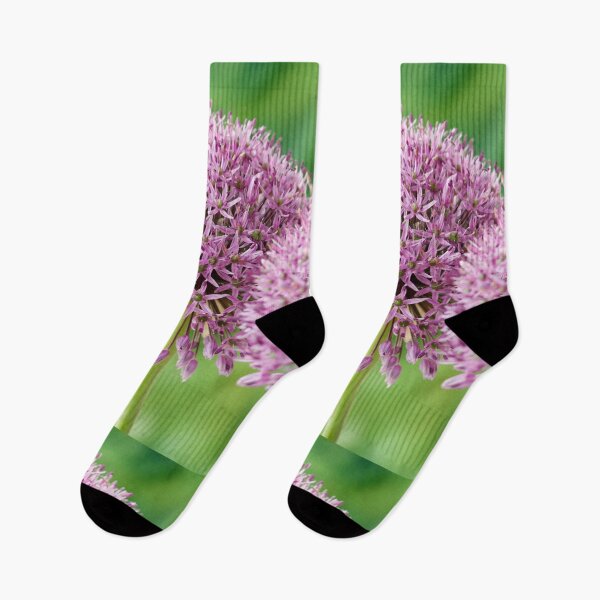 Item preview, Allium stipitatum  'Mars'  designed and sold by Chris Burrows.