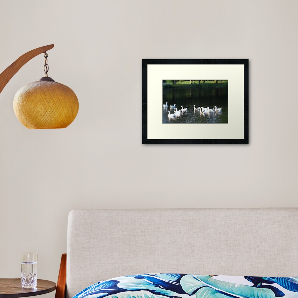 Geese in Trojan pond, near Goble, Oregon Framed Art Print