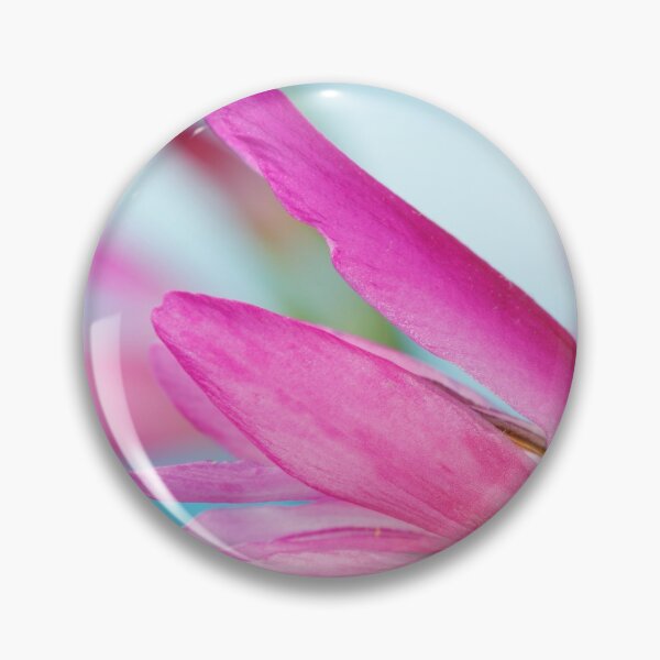 Item preview, Gladiolus communis subsp. byzantinus  AGM  Byzantine gladiolus   designed and sold by Chris Burrows.
