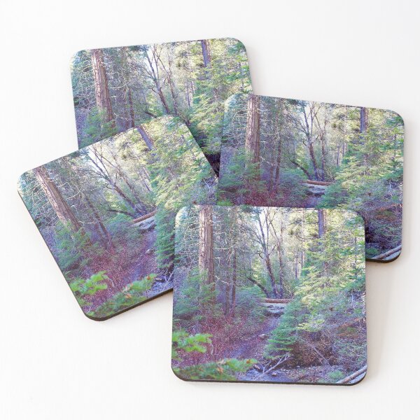 Item preview, Into the woods.  designed and sold by M&M Photography.