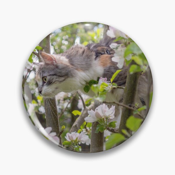 Item preview, Adorable kitten on a blossom tree designed and sold by Pokofoto.