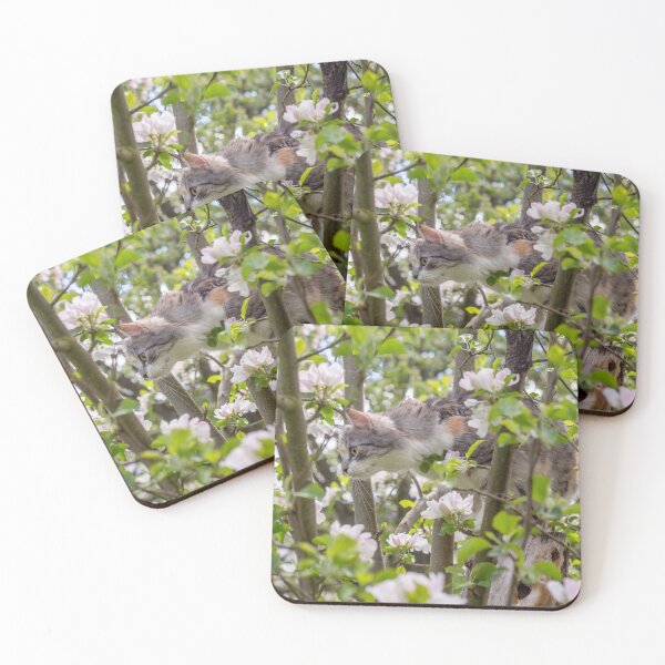 Item preview, Adorable kitten on a blossom tree designed and sold by Pokofoto.