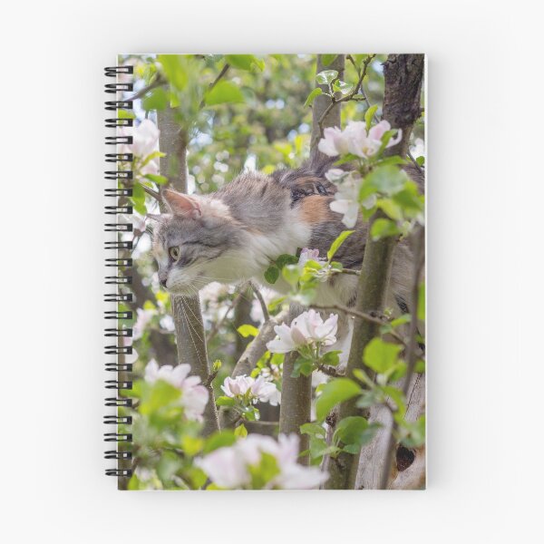 Item preview, Adorable kitten on a blossom tree designed and sold by Pokofoto.