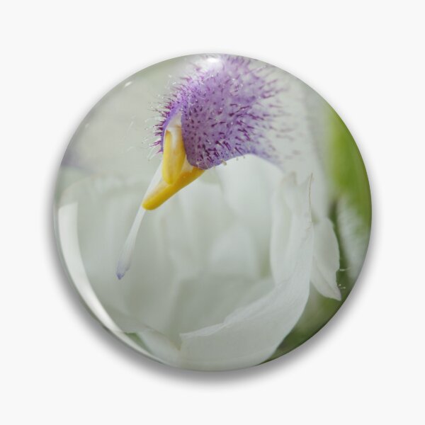 Item preview, Salvia argentea  Silver sage  Silver clary  designed and sold by Chris Burrows.