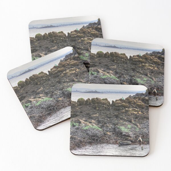 Item preview, Grey seals on Inchcolm designed and sold by tomg.