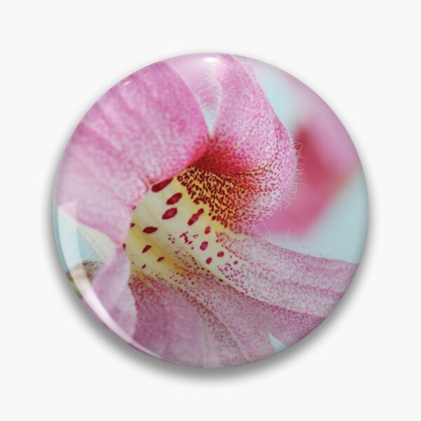 Item preview, Rehmannia elata AGM Chinese foxglove designed and sold by Chris Burrows.