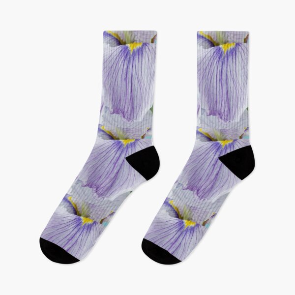 Item preview, Iris ensata  'Oriental Bouquet'  Japanese water Iris  Japanese flag  designed and sold by Chris Burrows.