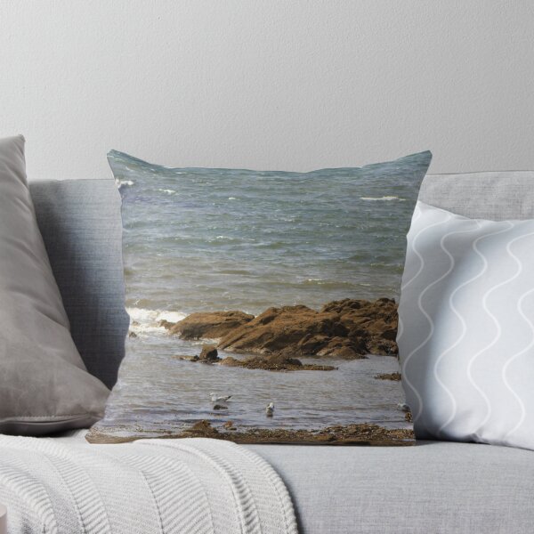 Item preview, Going For A Dip In The Sea designed and sold by dredfell.