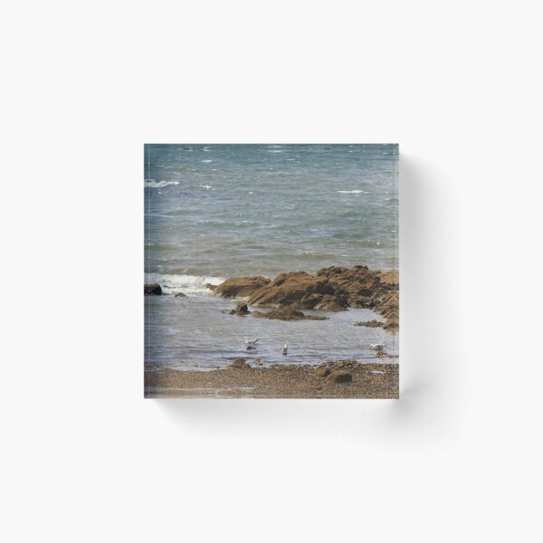 Item preview, Going For A Dip In The Sea designed and sold by dredfell.