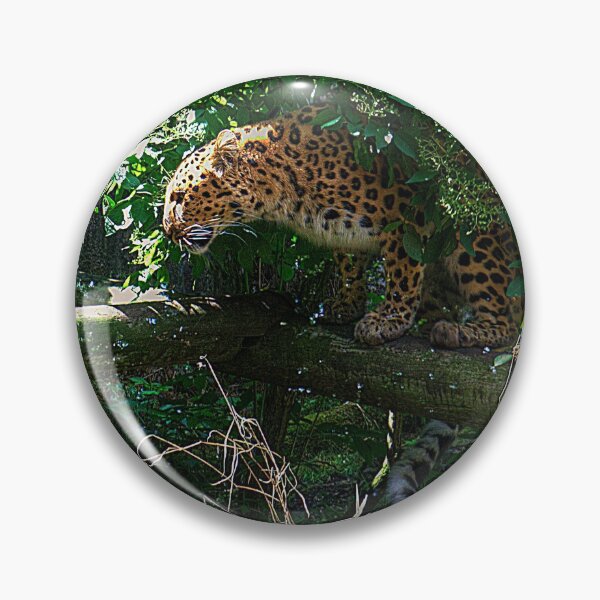Item preview, My Tail helps me Balance designed and sold by tomg.