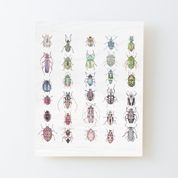 A rainbow of watercolor beetles Wood Mounted Print