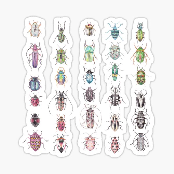 A rainbow of watercolor beetles Sticker