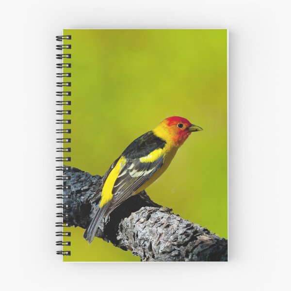 Item preview, Western Tanager designed and sold by Jeff Goulden Photography.