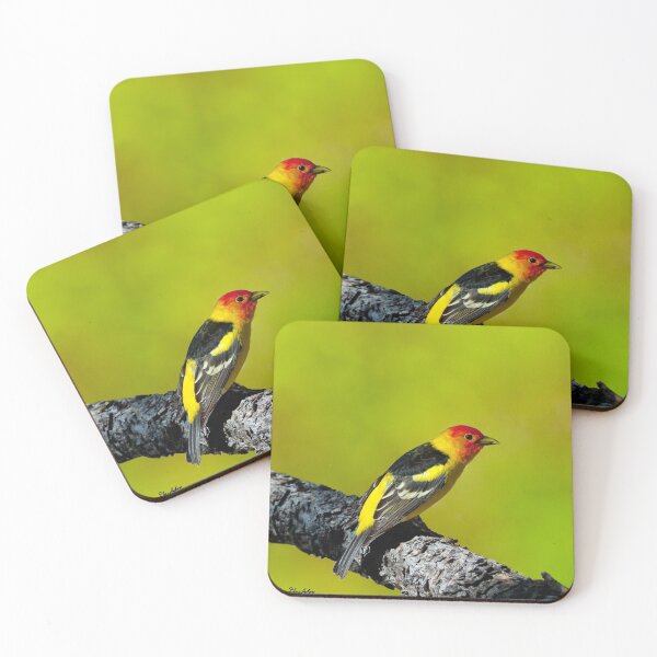 Item preview, Western Tanager designed and sold by Jeff Goulden Photography.