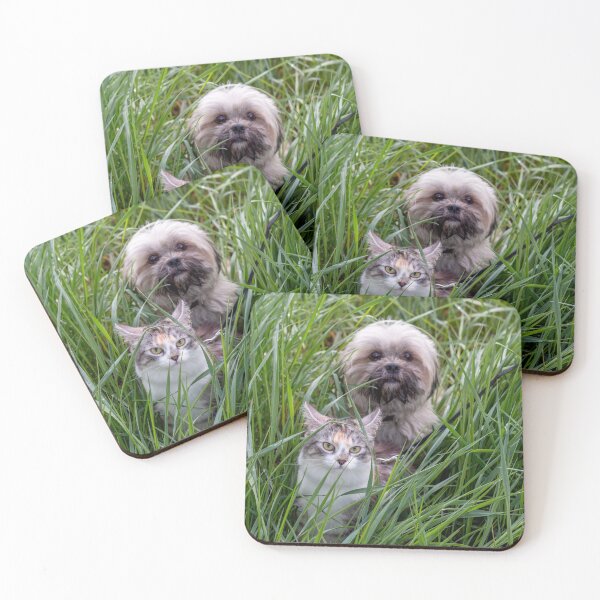 Item preview, Cute kitten and lhasa apso dog looking at you designed and sold by Pokofoto.