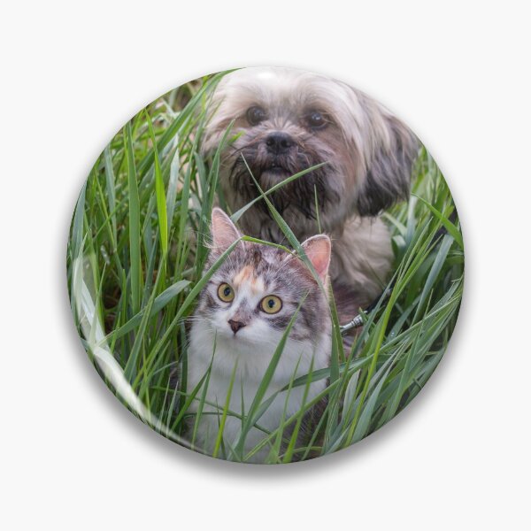 Item preview, Cute kitten and lhasa apso dog looking to the left designed and sold by Pokofoto.