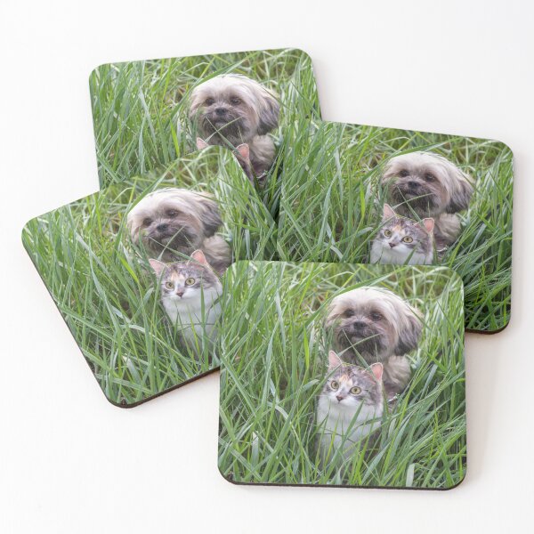 Item preview, Cute kitten and lhasa apso dog looking to the left designed and sold by Pokofoto.