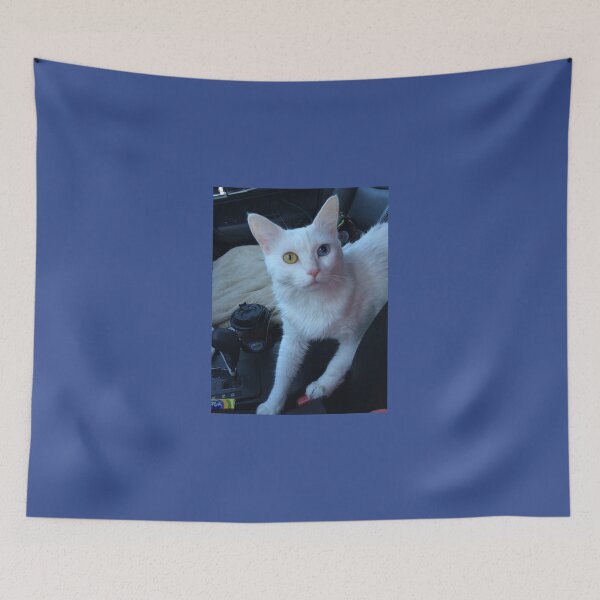 Item preview, Love For an Odd-Eyed Cat  designed and sold by Caryn Jaffe.