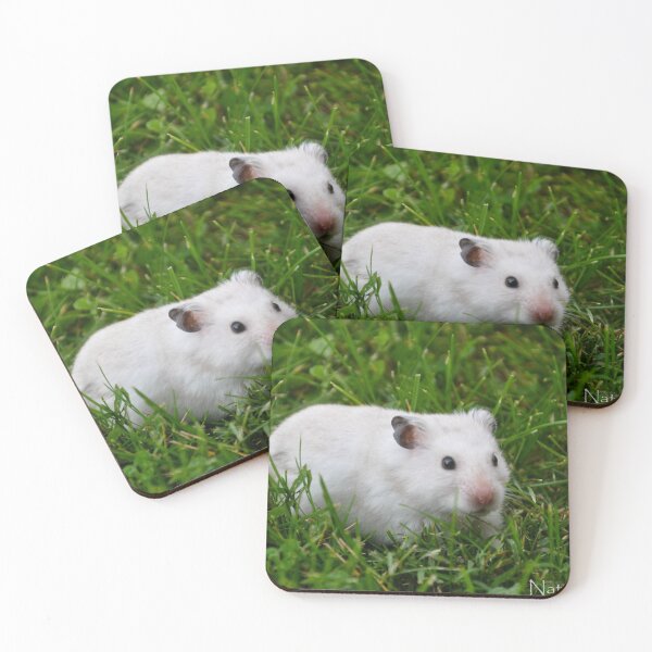Item preview, Hamster Explorer designed and sold by LexTheWolf.
