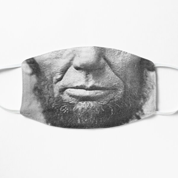 Lincoln Face Mask