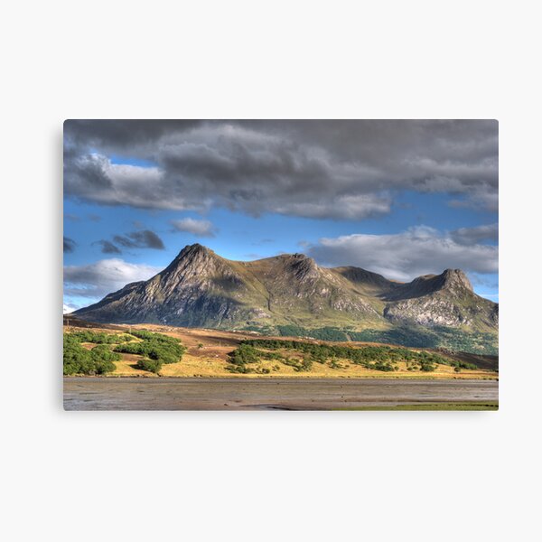 Item preview, Ben Loyal designed and sold by pwmoore.