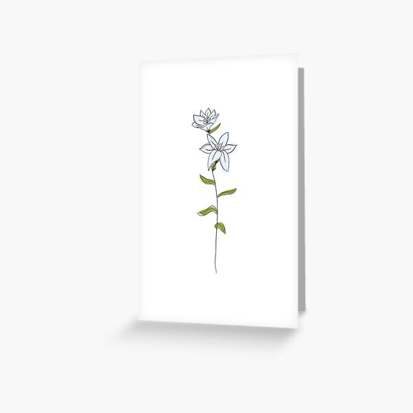 Hawthorn May Birth Month Flower Illustration Stock Illustration  Download  Image Now  Hawthorn Flower Astrology Sign  iStock