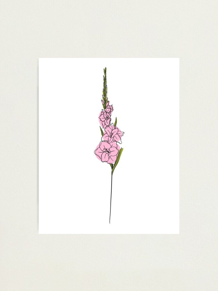 Lámina fotográfica «Flor de agosto | Gladiolo | Color» de ekwdesigns |  Redbubble