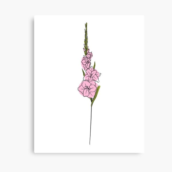 Poppy and Gladiolus August birth flower Vinyl Sticker – Jodi Lynn Doodles