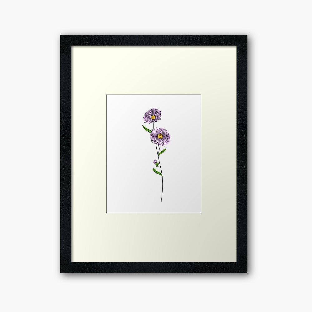 September Baby Birth Month Flower | Aster | Color