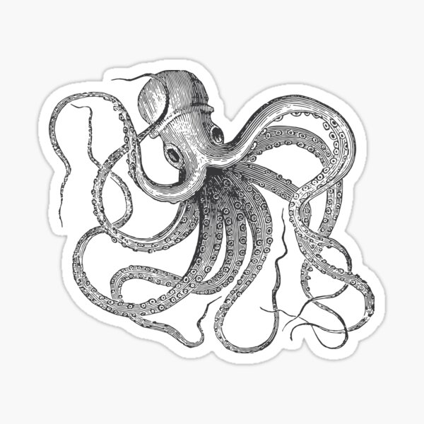 Vintage Octopus • Nautical Sticker