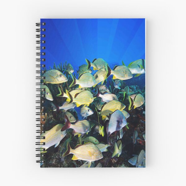 Artikelvorschau, Underwater Photography by John Schwalbe entworfen und verkauft von Sharon Schwalbe.
