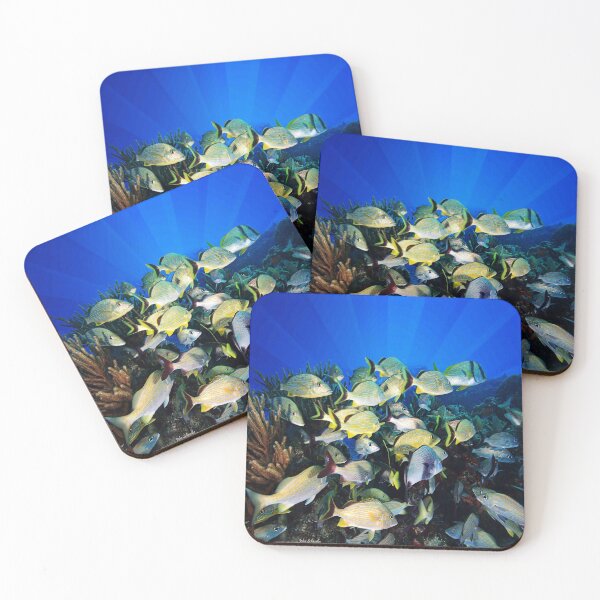 Item preview, Underwater Photography by John Schwalbe designed and sold by Sharon Schwalbe.