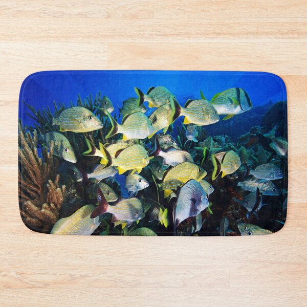 Item preview, Underwater Photography by John Schwalbe designed and sold by Sharon Schwalbe.