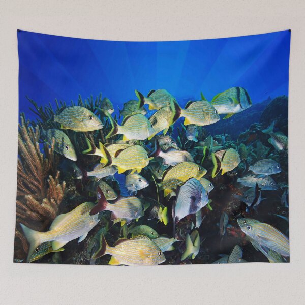 Artikelvorschau, Underwater Photography by John Schwalbe entworfen und verkauft von Sharon Schwalbe.