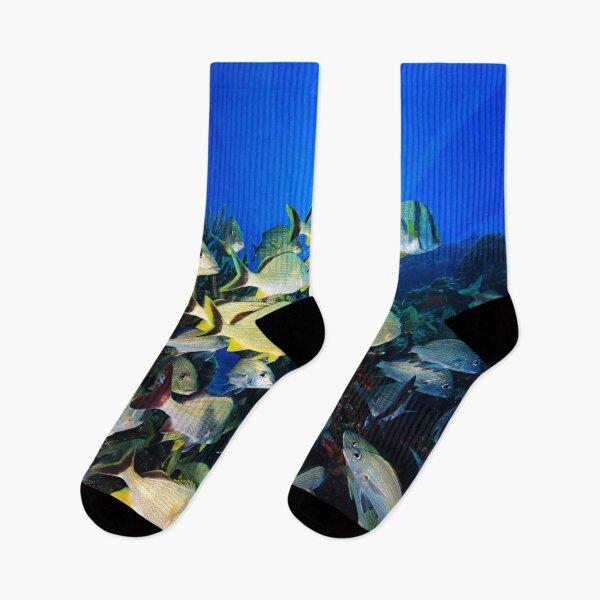 Item preview, Underwater Photography by John Schwalbe designed and sold by Sharon Schwalbe.