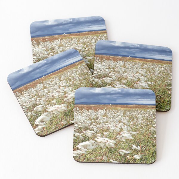 Item preview, Cotton Grass, North York Moors National Park designed and sold by FOLK ART FUSION by heidiannemorris.