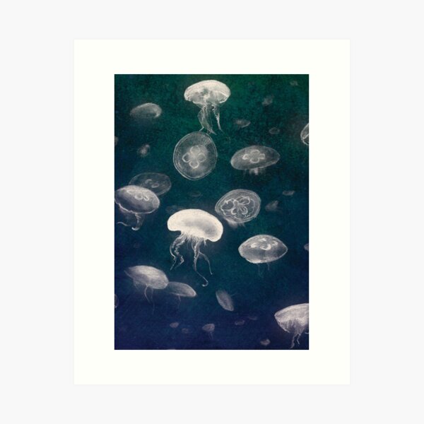 Jellyfish Art Print