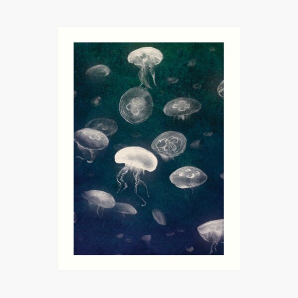 Jellyfish Art Print