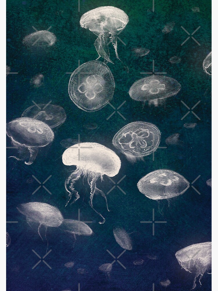 Jellyfish by maturin