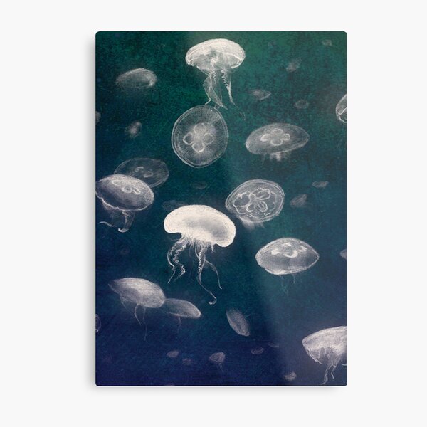 Jellyfish Metal Print