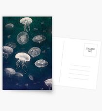 Jellyfish Postcards