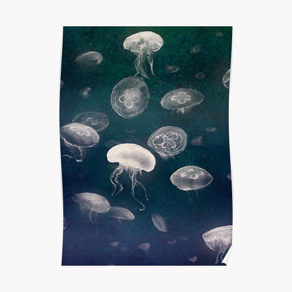 Jellyfish Poster